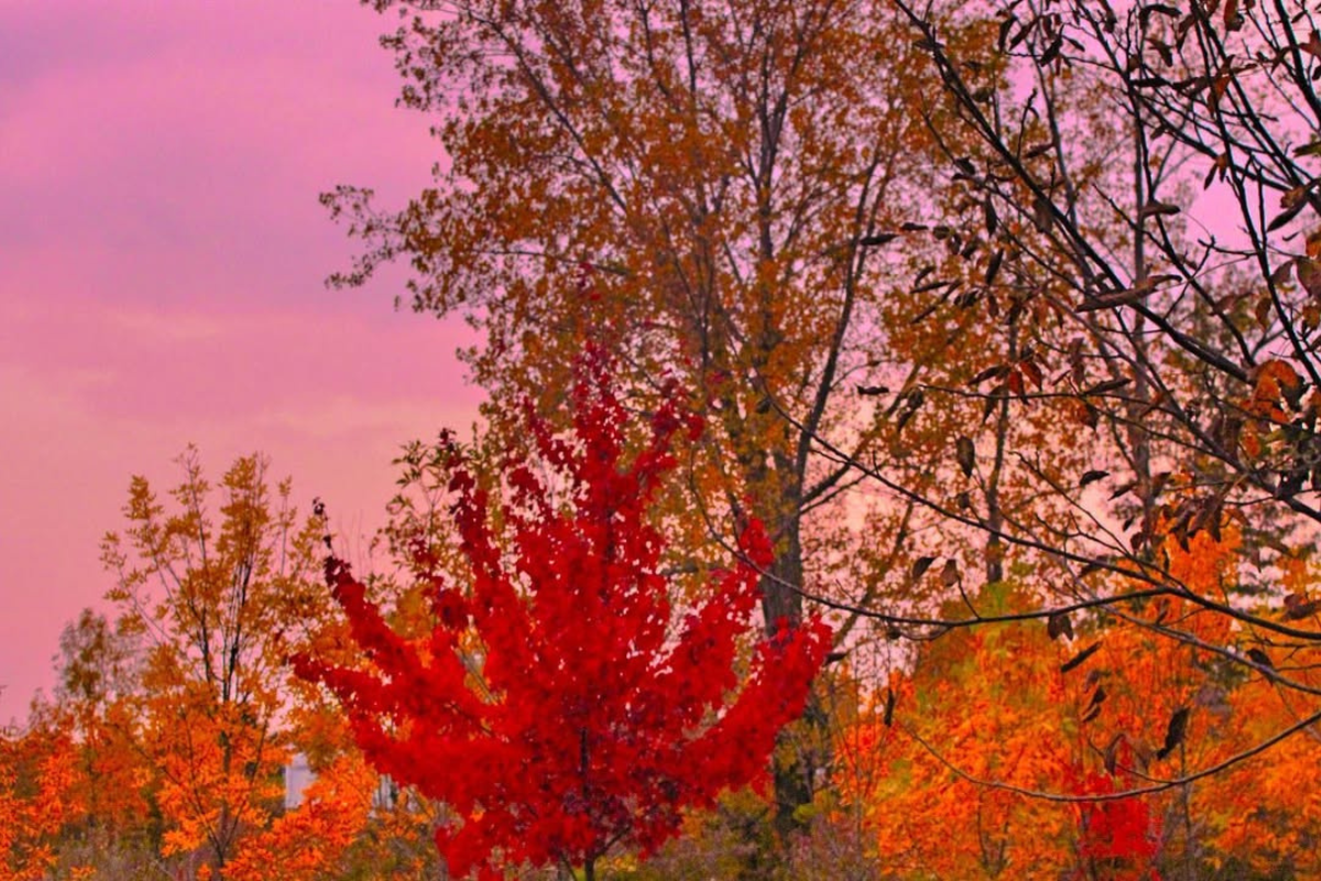 Fall Colors Ohio