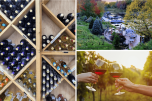 9 Note-Worthy Canton Ohio Wineries to Add to Your Wine Tasting Trip