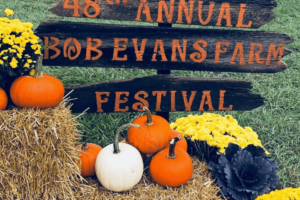 12 Best Fall Festivals in Ohio to Attend This Year