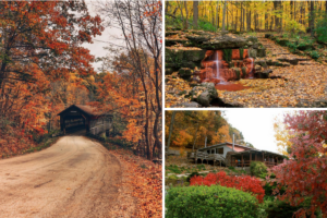 6 Fantastic Ideas for Fall Day Trips in Ohio