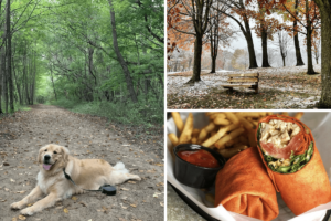 12+ Best Things to Do at Munroe Falls Metro Park This Year