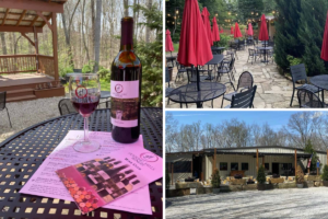 A UNIQUE Ohio Day Trip Destination: Hocking Hills Winery