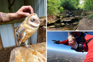 12 Exciting Outdoor Things to Do in Canton Ohio