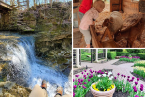 10 BEST Spring Things to Do in Dayton Ohio