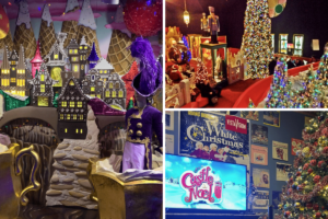 TOP 14 Things to Know & Do at Castle Noel in Medina Ohio