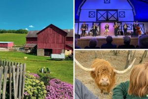 Discovering the Fascinating Culture of Ohio’s Amish Country on a Day Trip