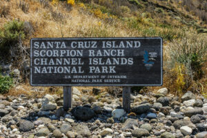 Beyond the Mainland: Exploring Channel Islands National Park