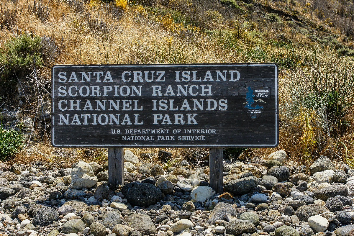 Channel Islands National Park