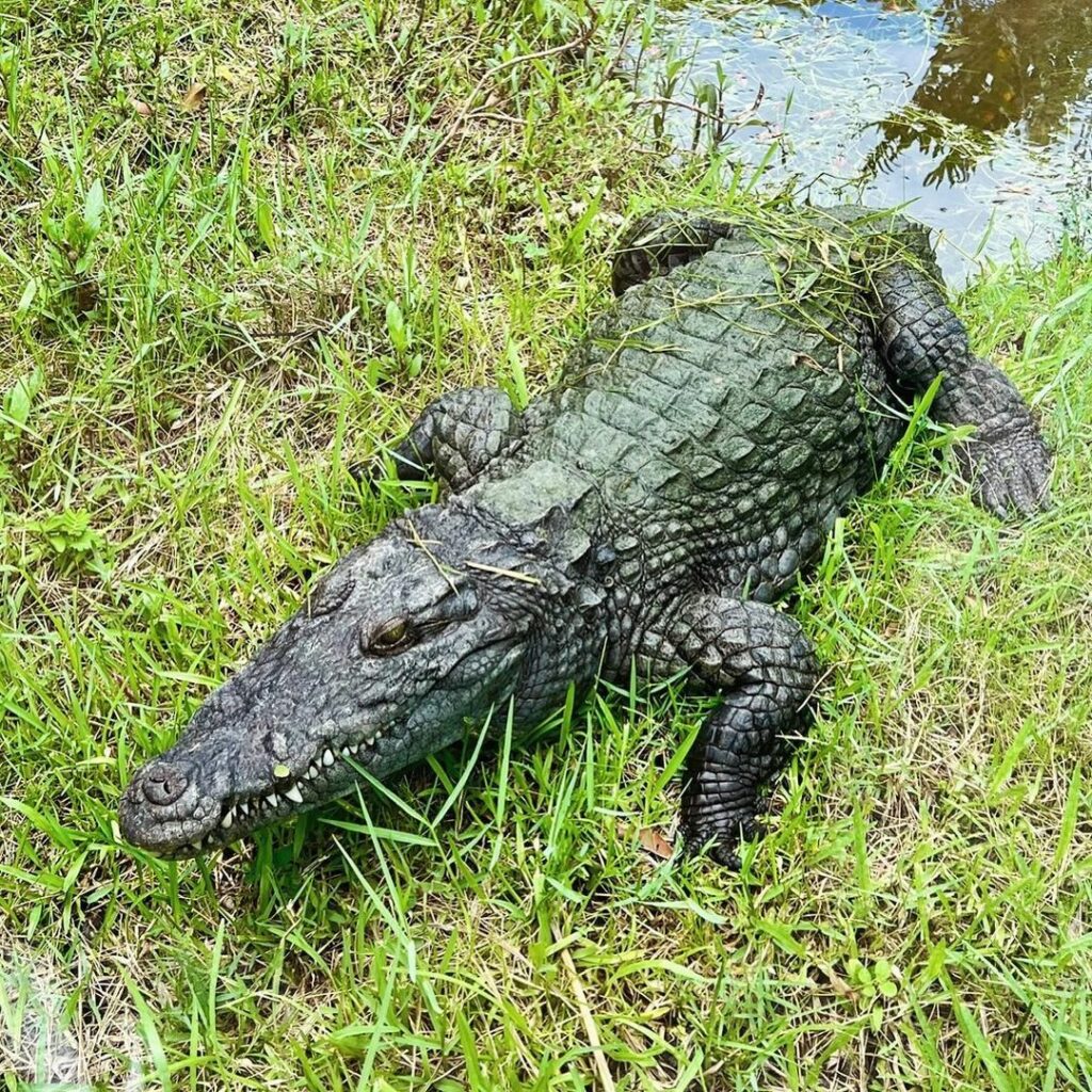 Everglades National Park