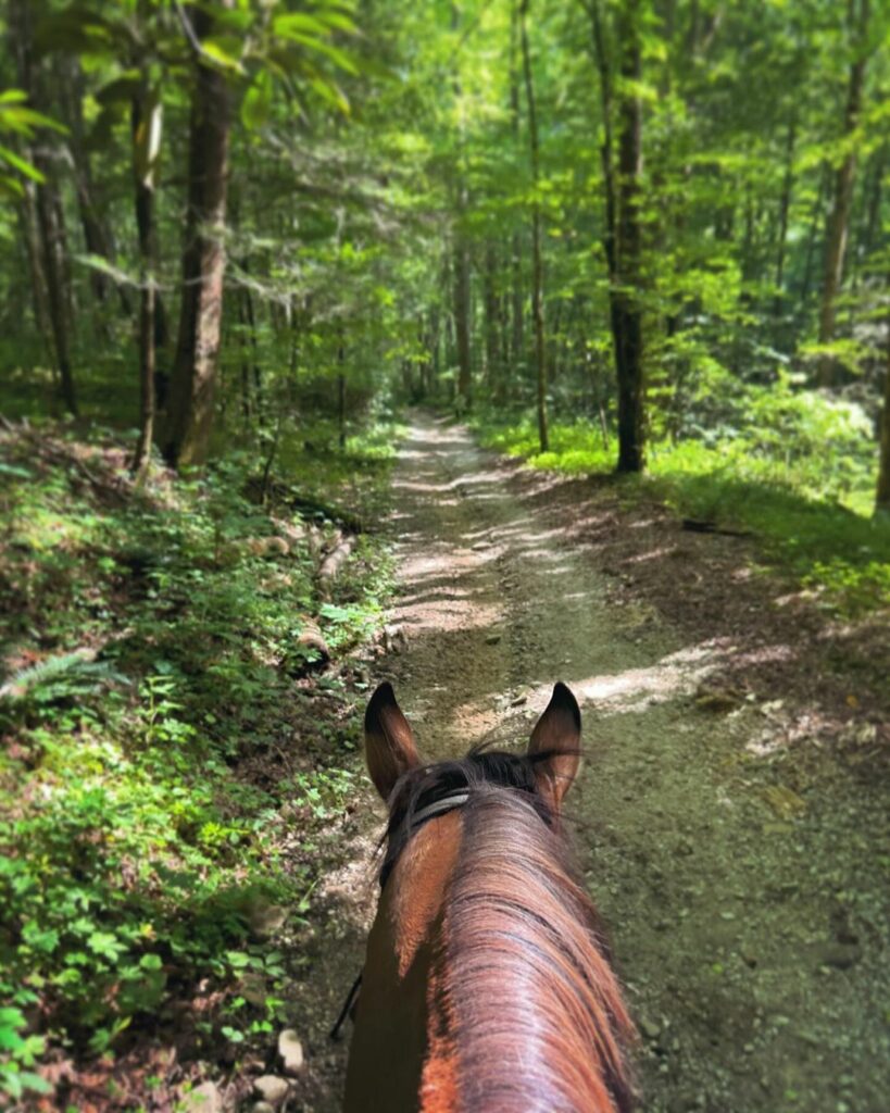 Great Smoky Mountains National Park