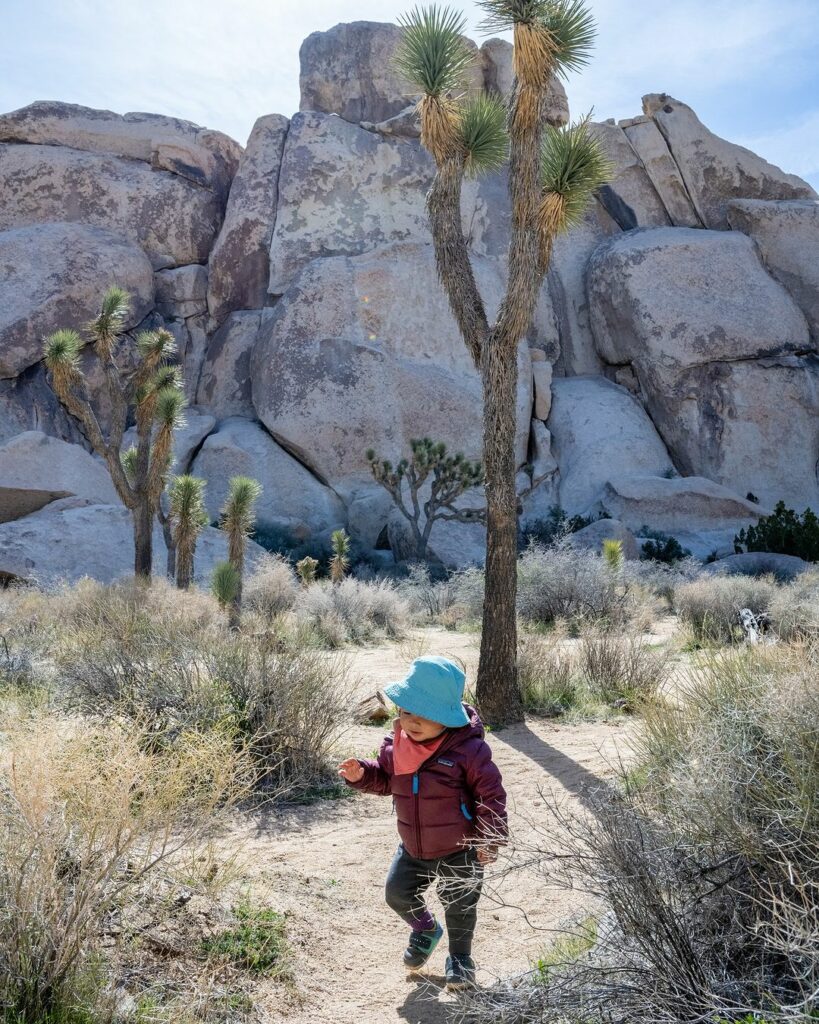 Joshua Tree National Park