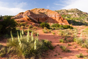 21 BEST Texas State Parks To Put On Your Bucket List