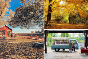 Glass City’s Favorite Fall Fun | Best Fall Things to Do in Toledo & NW Ohio