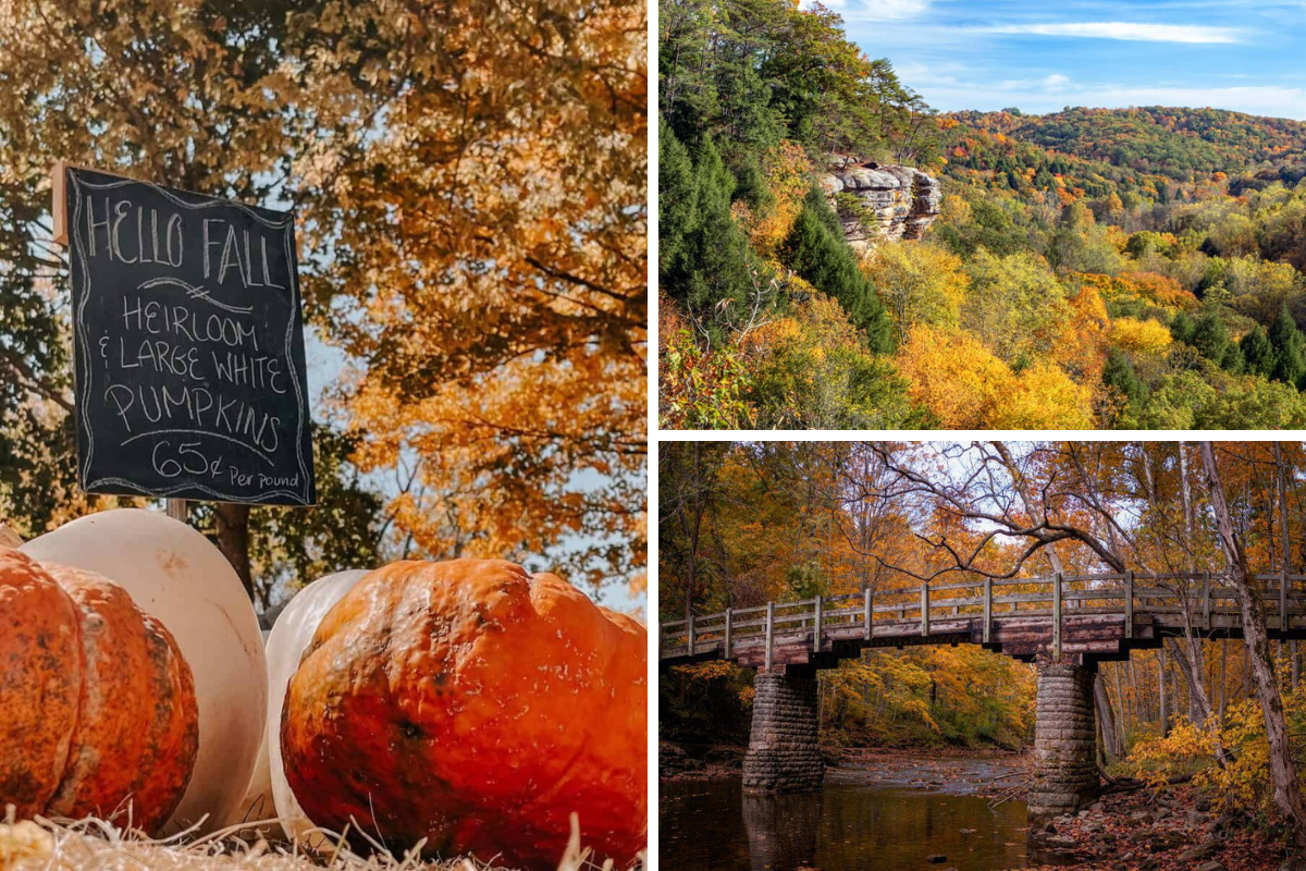 Ohio Fall Towns