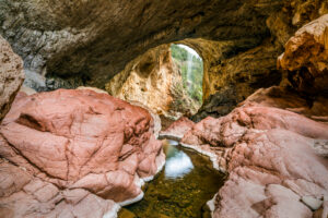 From Deserts to Canyons: A Journey Through Arizona State Parks