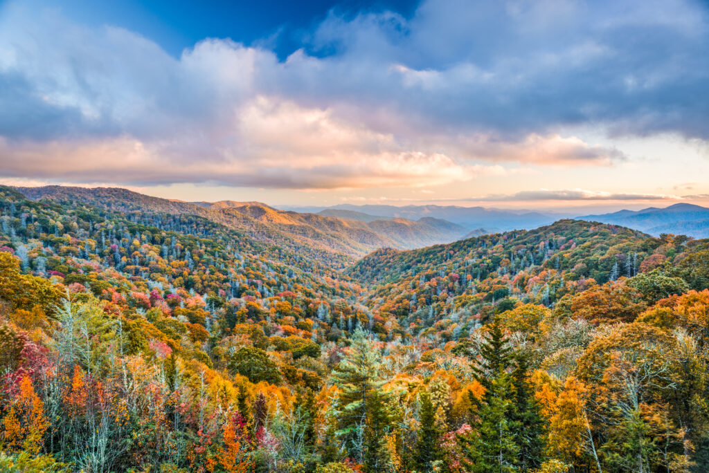 Smoky Mountains National Park, Tennessee, USA autumn landscape at Newfound Gap.