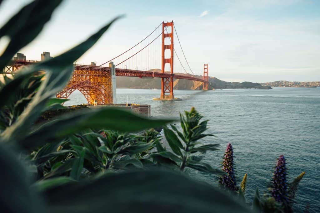 tim foster o4mP43oPGHk unsplash 1024x683 1