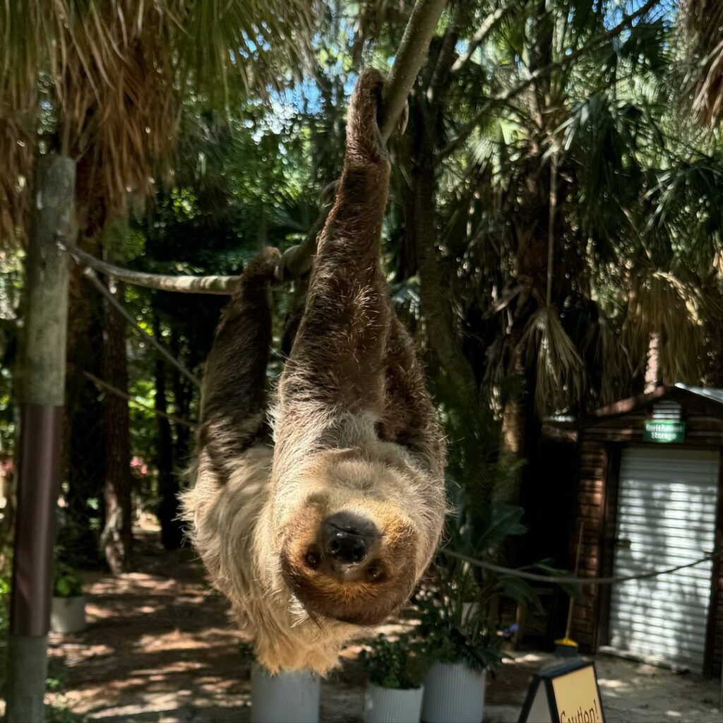 Brevard Zoo-Florida