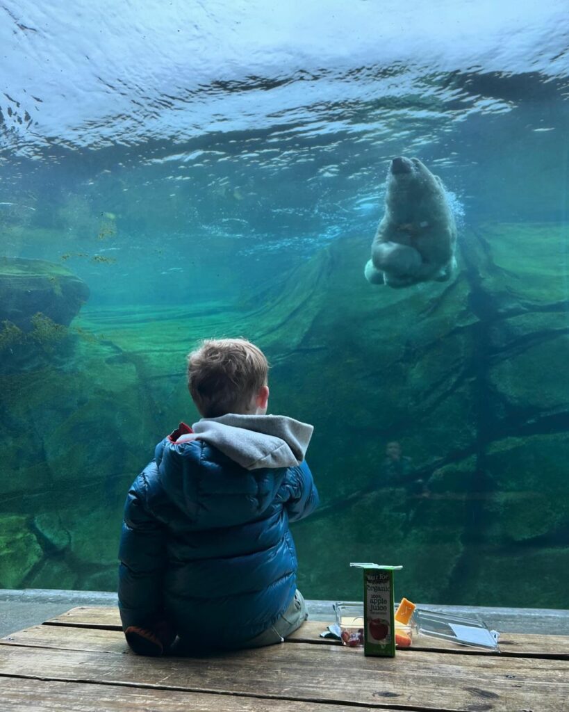 Columbus Zoo and Aquarium-Ohio