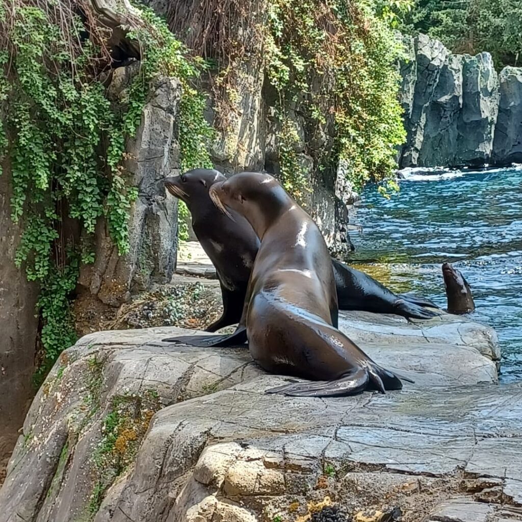 Henry Doorly Zoo and Aquarium-Omaha, Nebraska