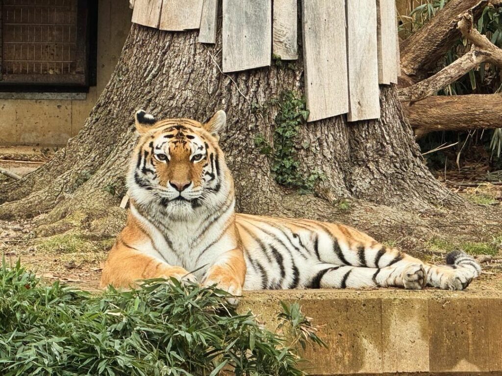 Smithsonian National Zoological Park-Washington, D.C.