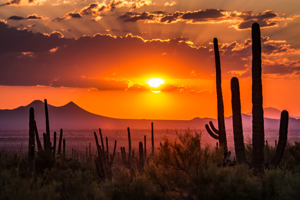 sunset in the desert in Tucson, Arizona