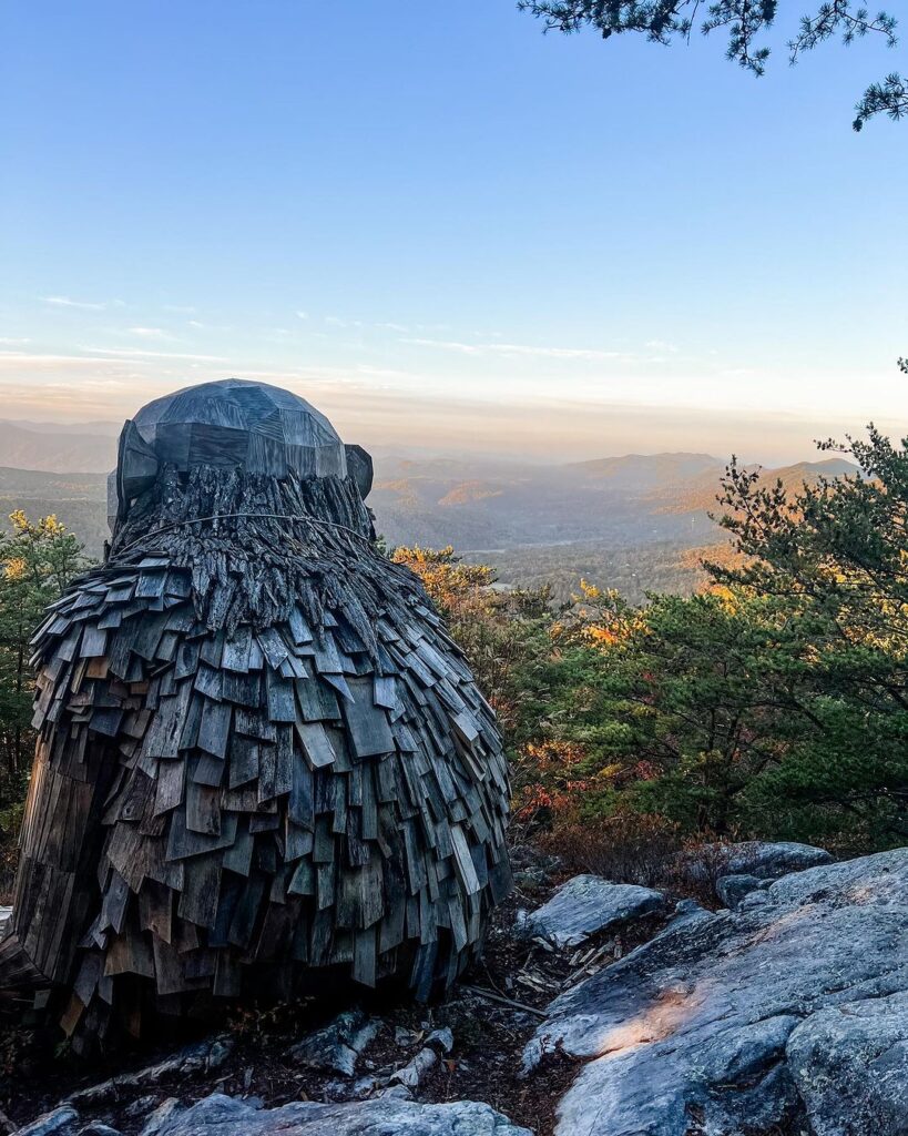 Leo The Enlightened-Tennessee