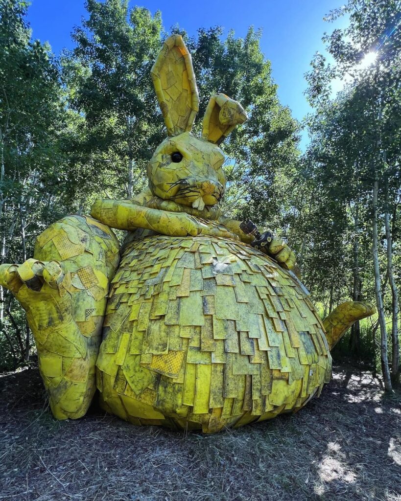 The Golden Rabbit-Minnesota