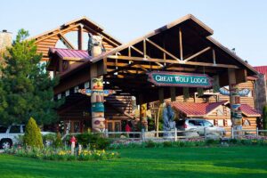 I Took My Family of 7 to Great Wolf Lodge Wisconsin Dells. Here’s My Honest Review.