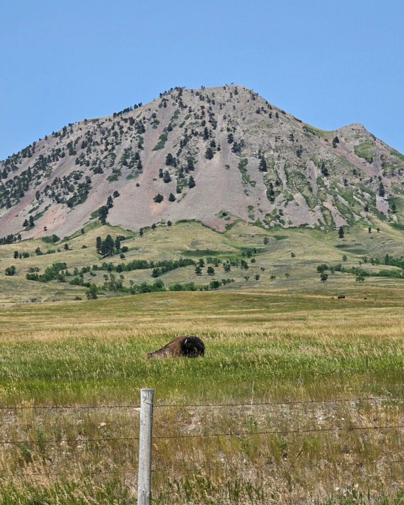 Bear Butte-South Dakota