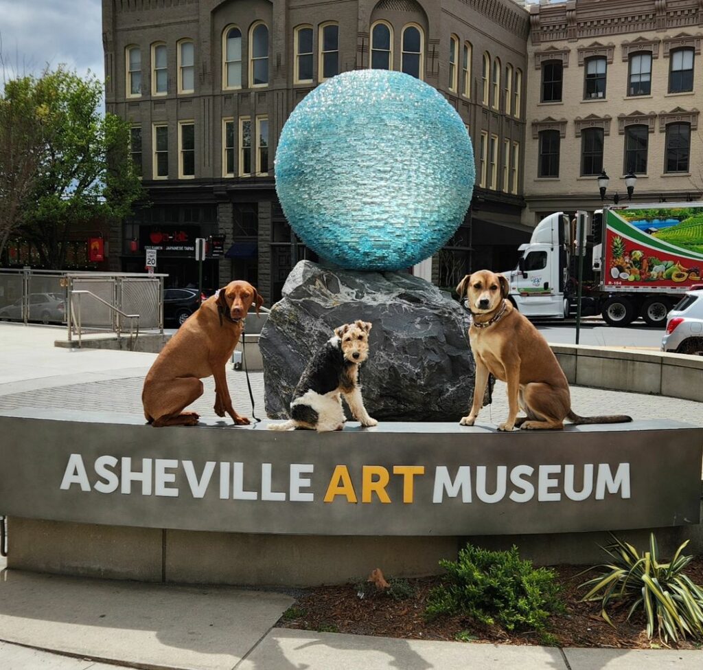 Dog City USA -Ashville, North Carolina