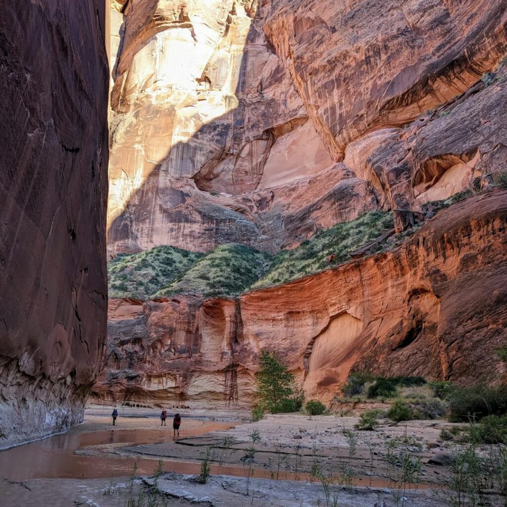 Paria Canyon-Utah