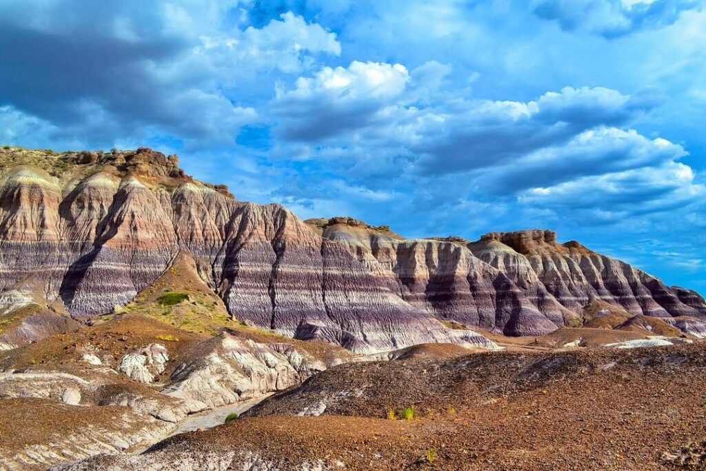 Petrified Forest National Park-Arizona