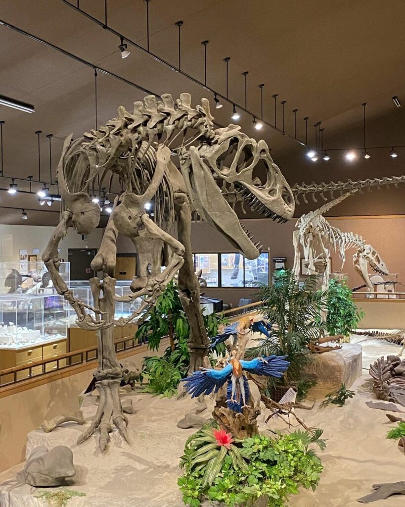 Badlands Dinosaur Museum-North Dakota