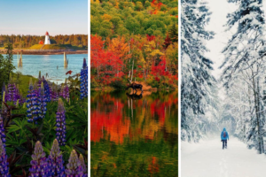 What is the Best Season to Visit Maine?