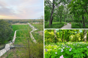 Less Than 25 Miles from Downtown Chicago, Swallow Cliff Woods is a Hidden Gem