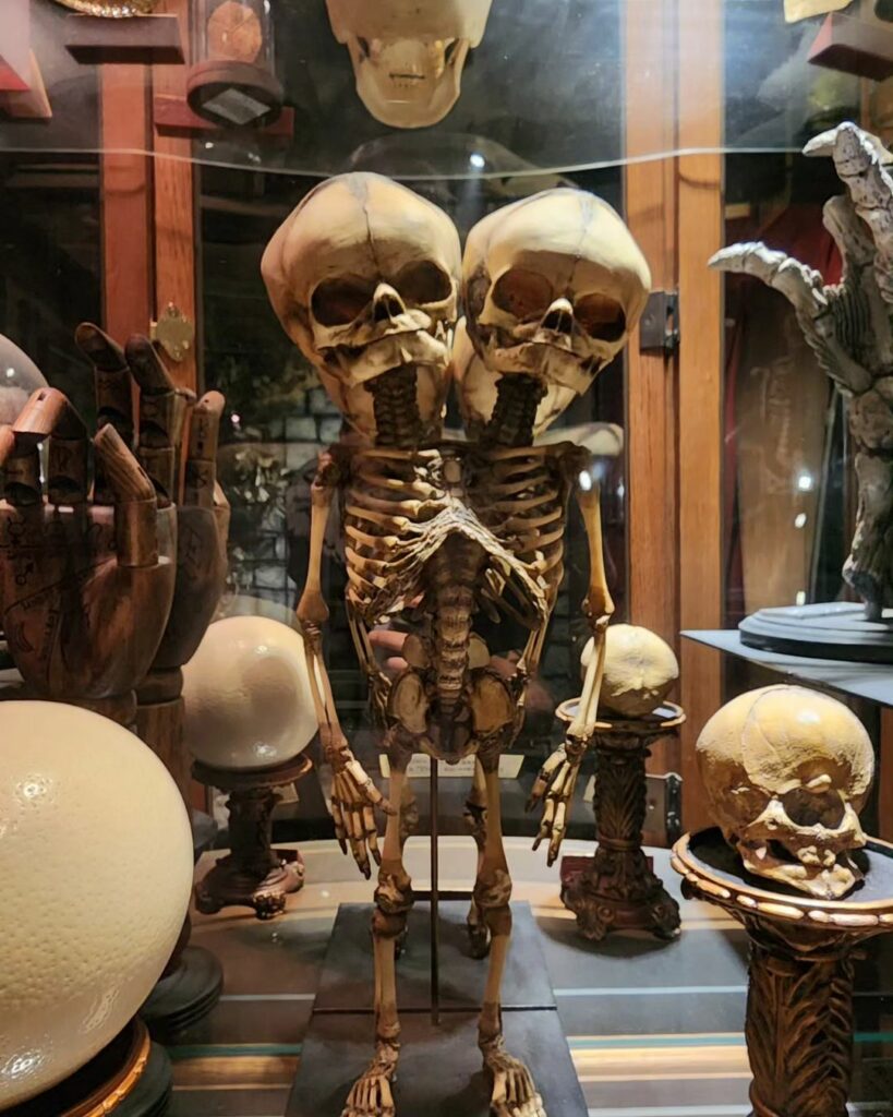 The Museum of the Weird-Texas