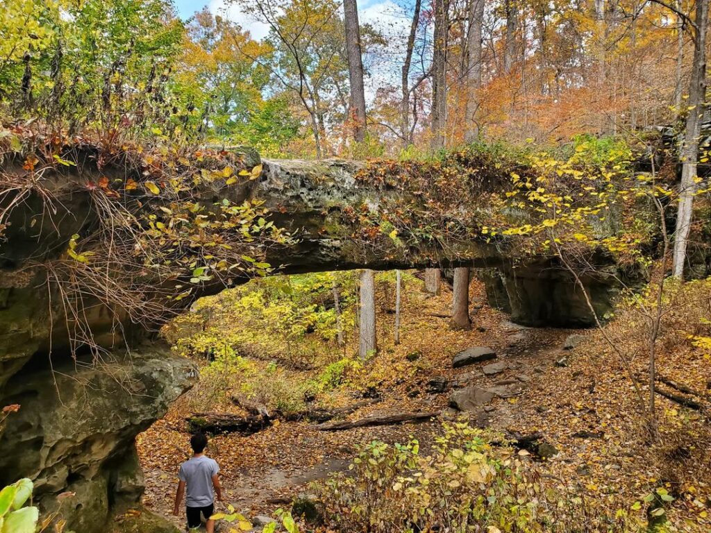 Pomona Natural Bridge-Pomona