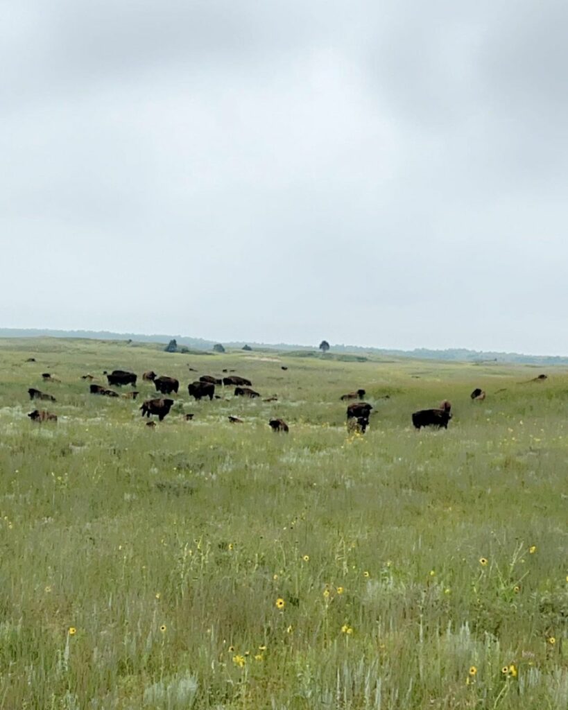 Valentine National Wildlife Refuge -Nebraska