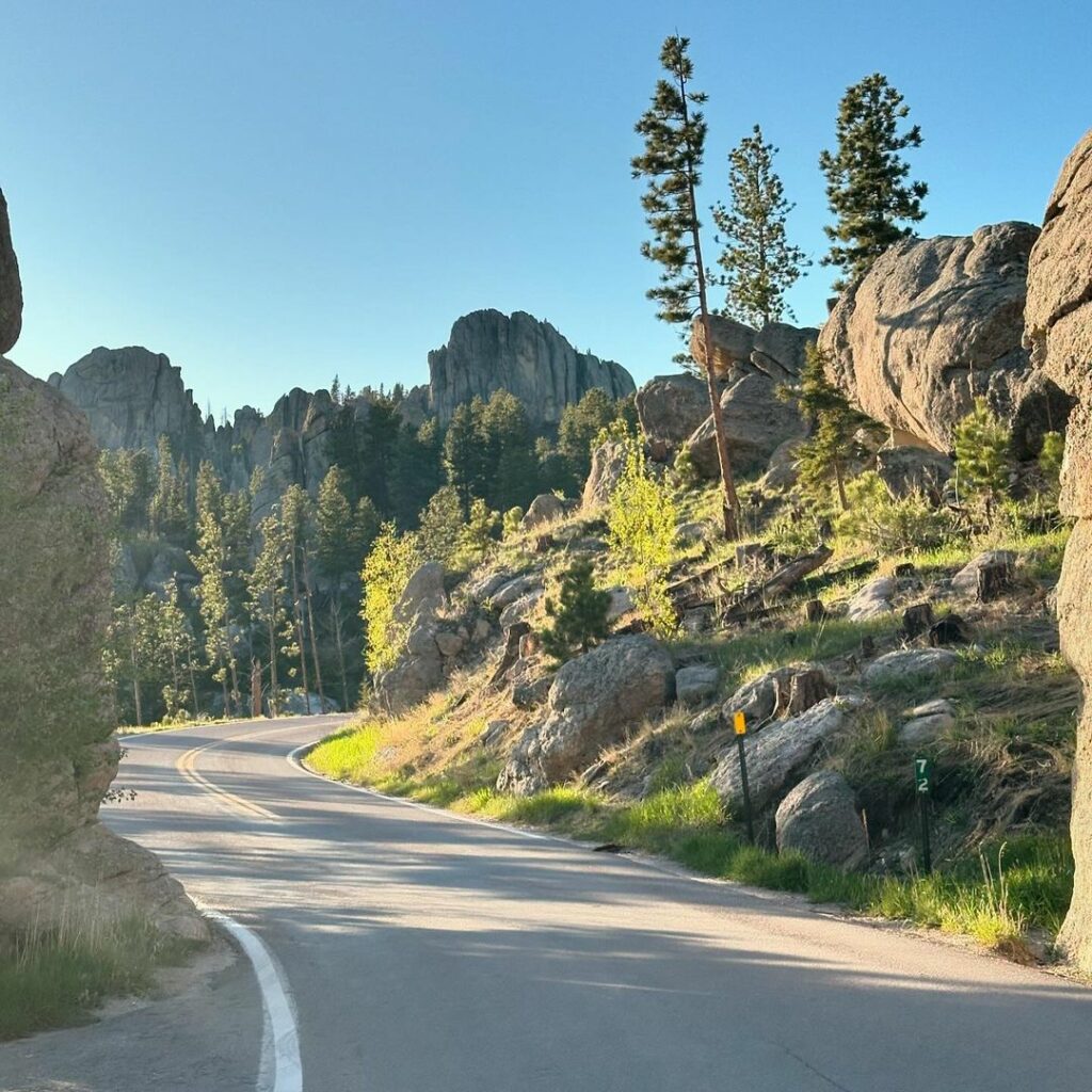 Custer State Park-South Dakota