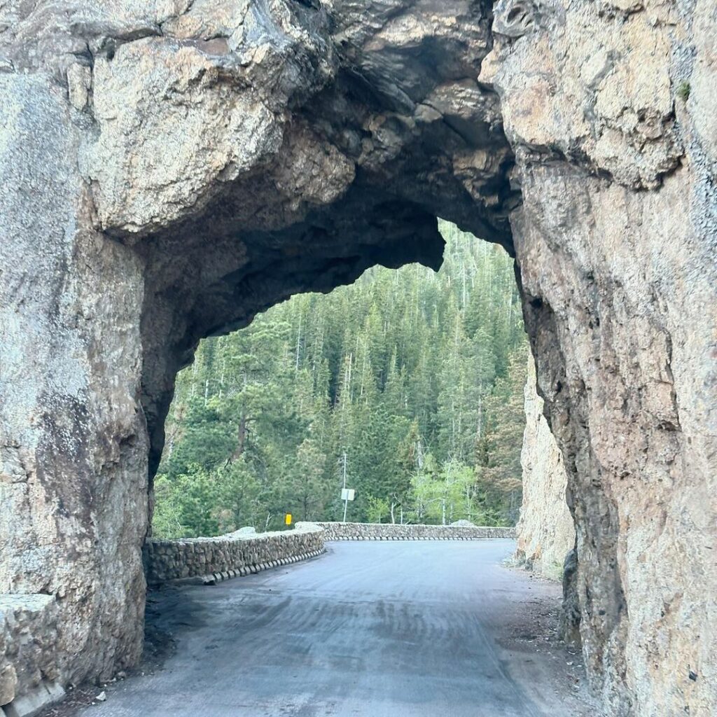 Custer State Park-South Dakota