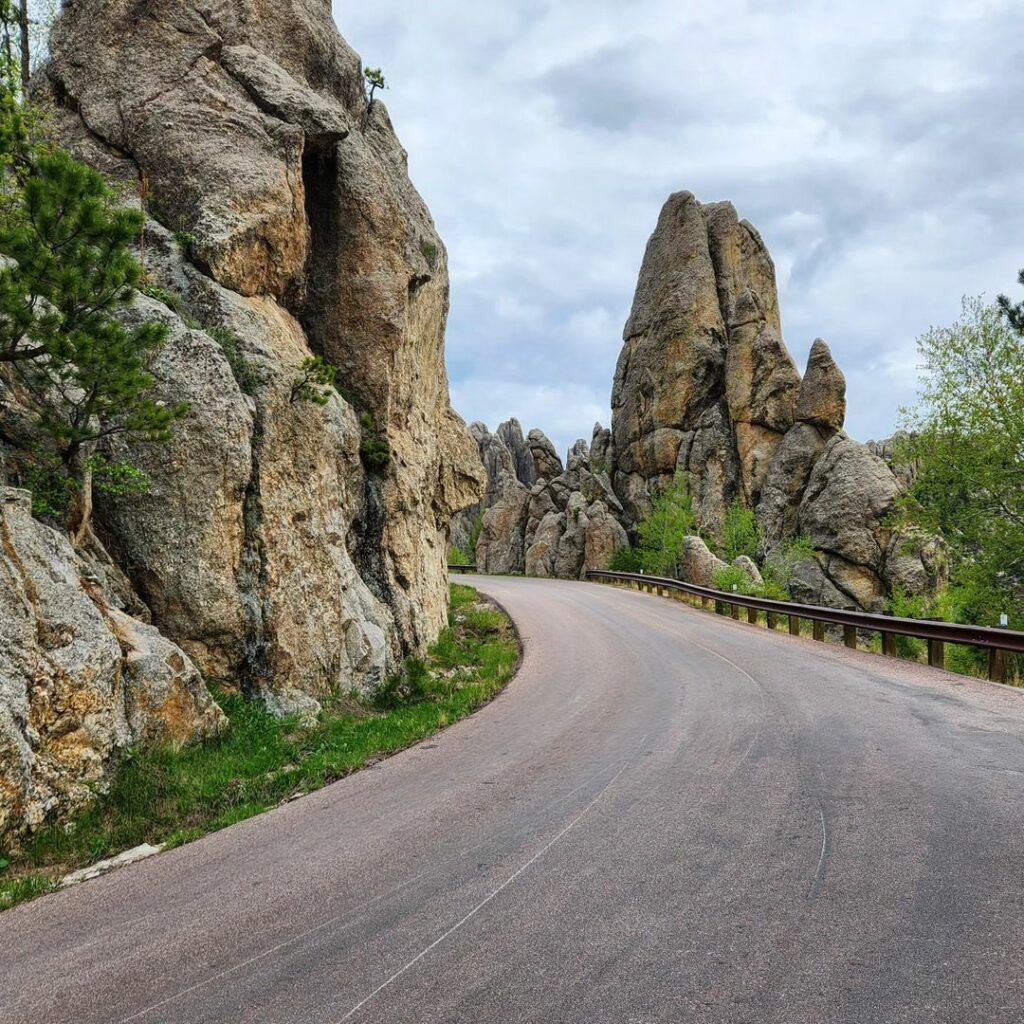 Custer State Park-South Dakota