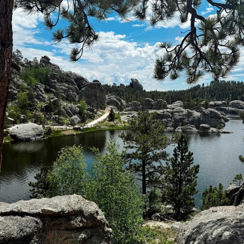 Custer State Park-South Dakota