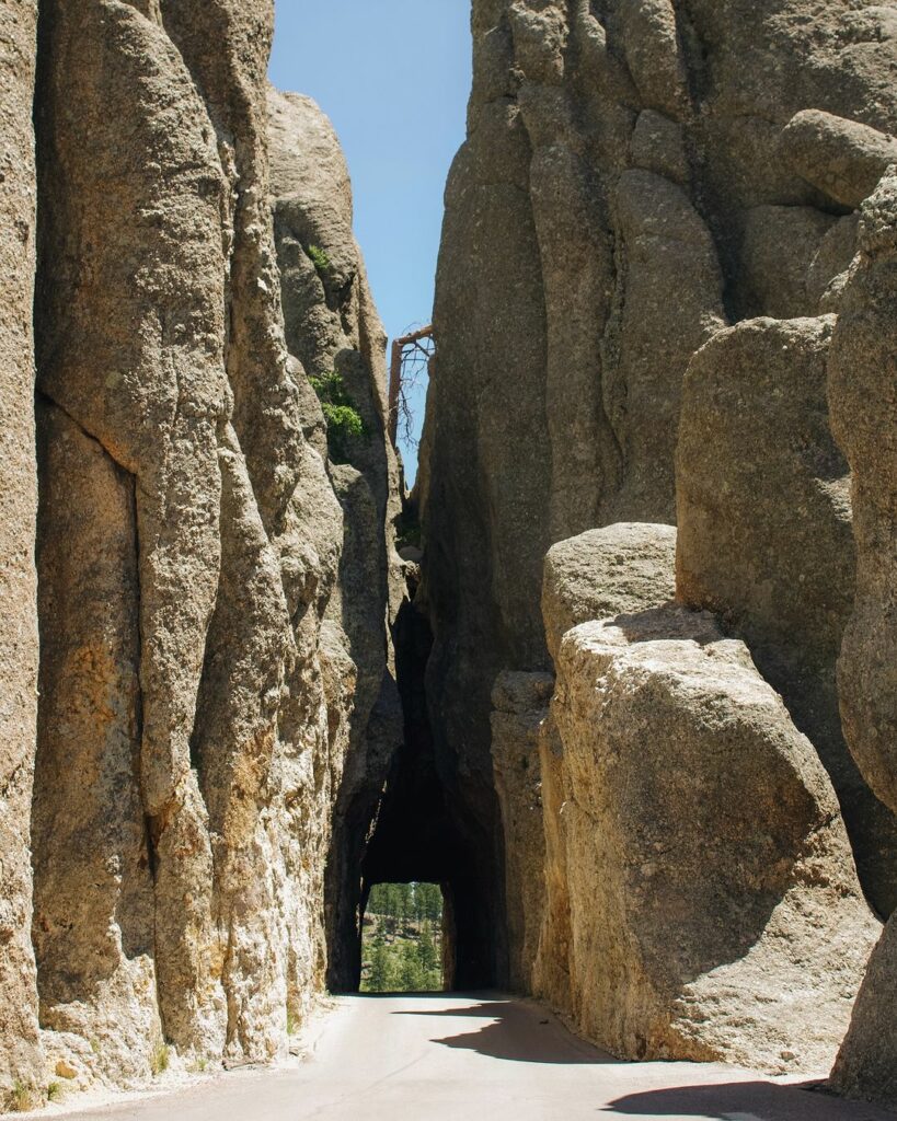 Custer State Park-South Dakota