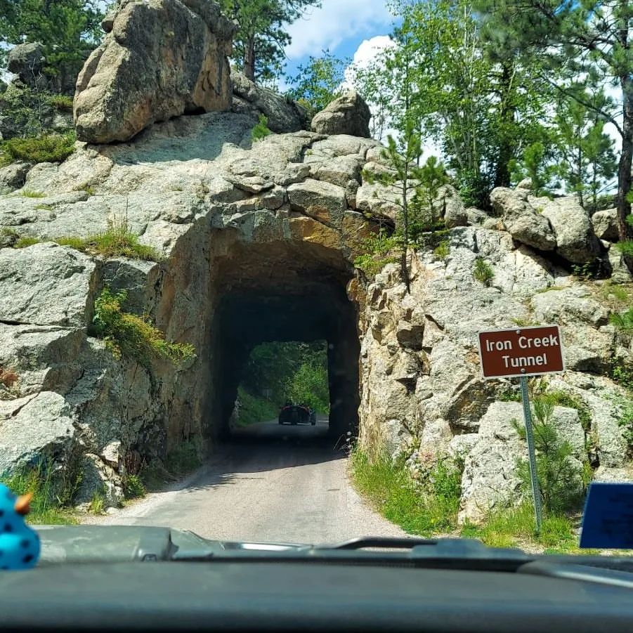 Custer State Park-South Dakota