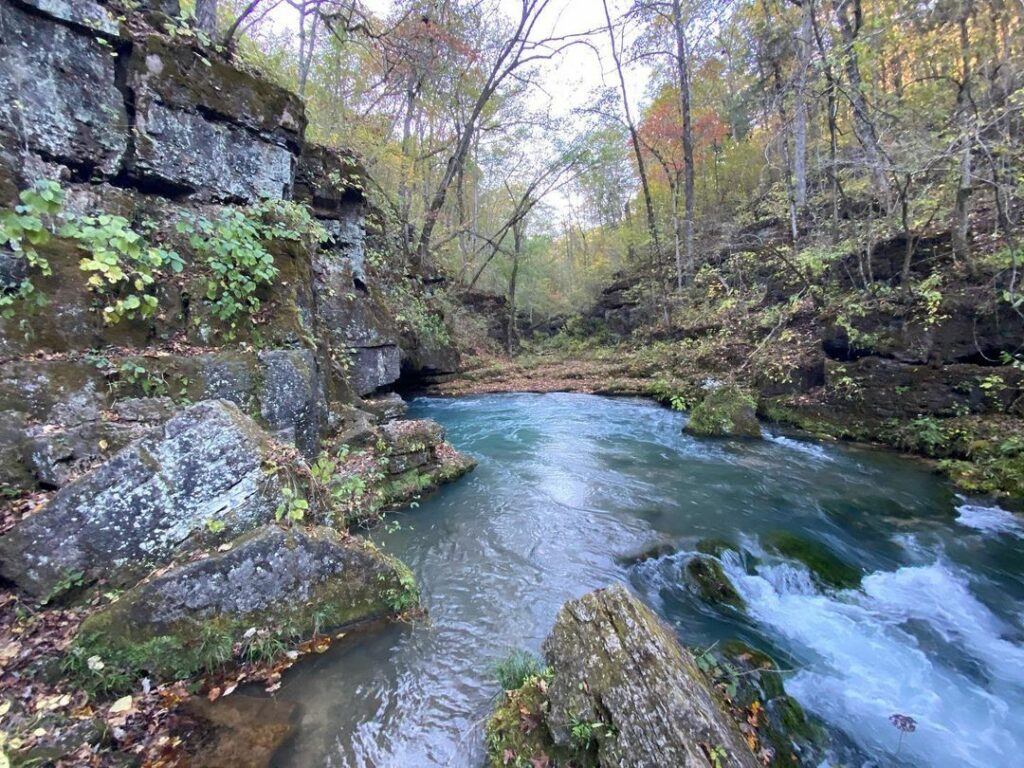 Greer Spring-Missouri