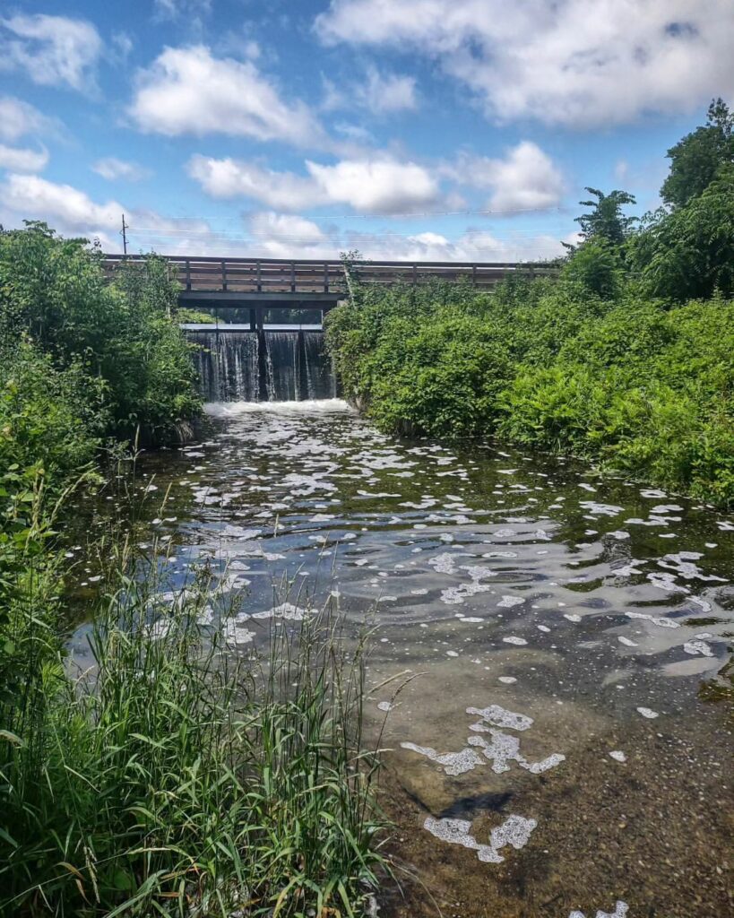 Hartman Creek State Park-Wisconsin