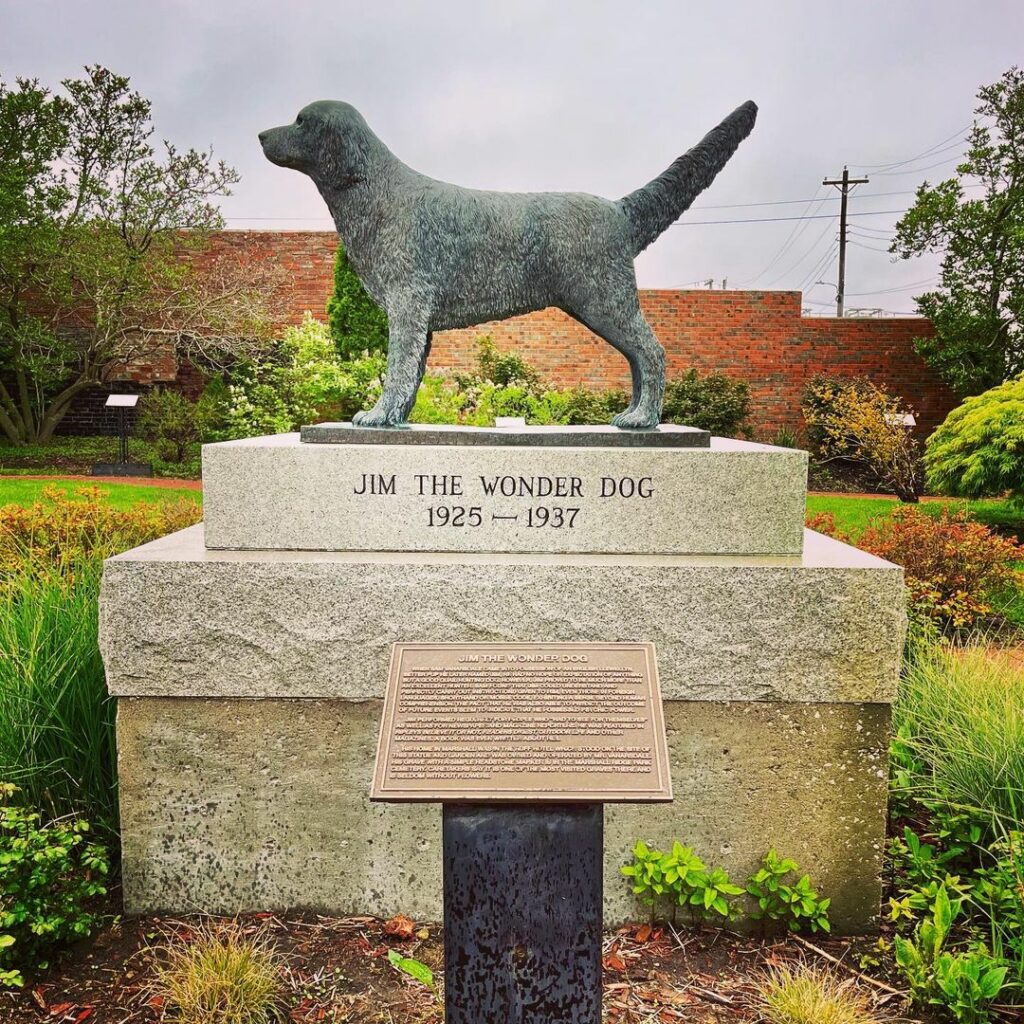 Jim the Wonder Dog-Missouri