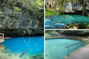 Discover the Fabulous Freshwater Springs of Missouri