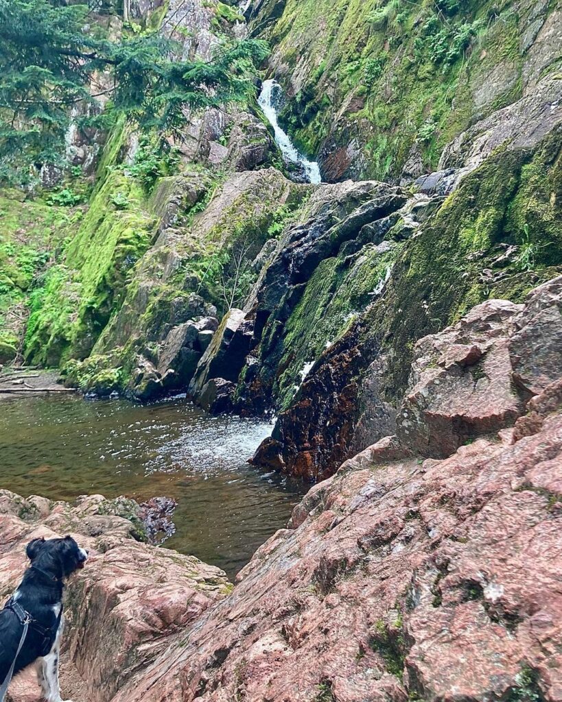 Morgan Falls-Wisconsin